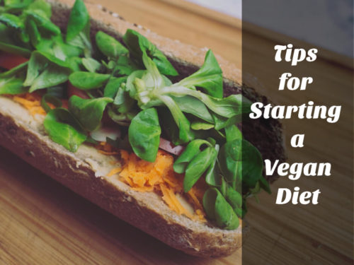 Tips for Starting a Vegan Diet