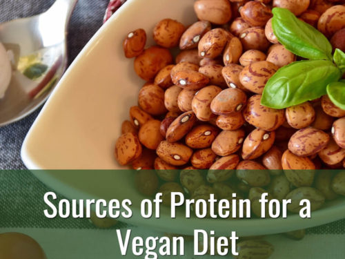 Sources of Protein for Vegan Diet