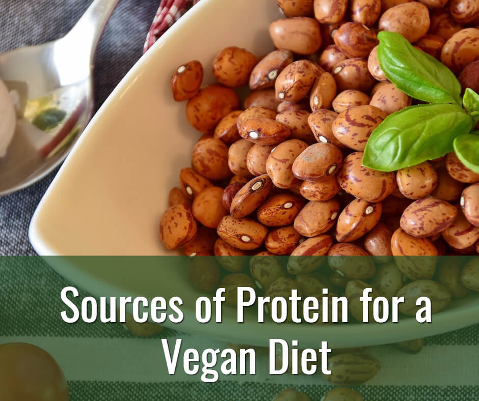 Sources of Protein for Vegan Diet